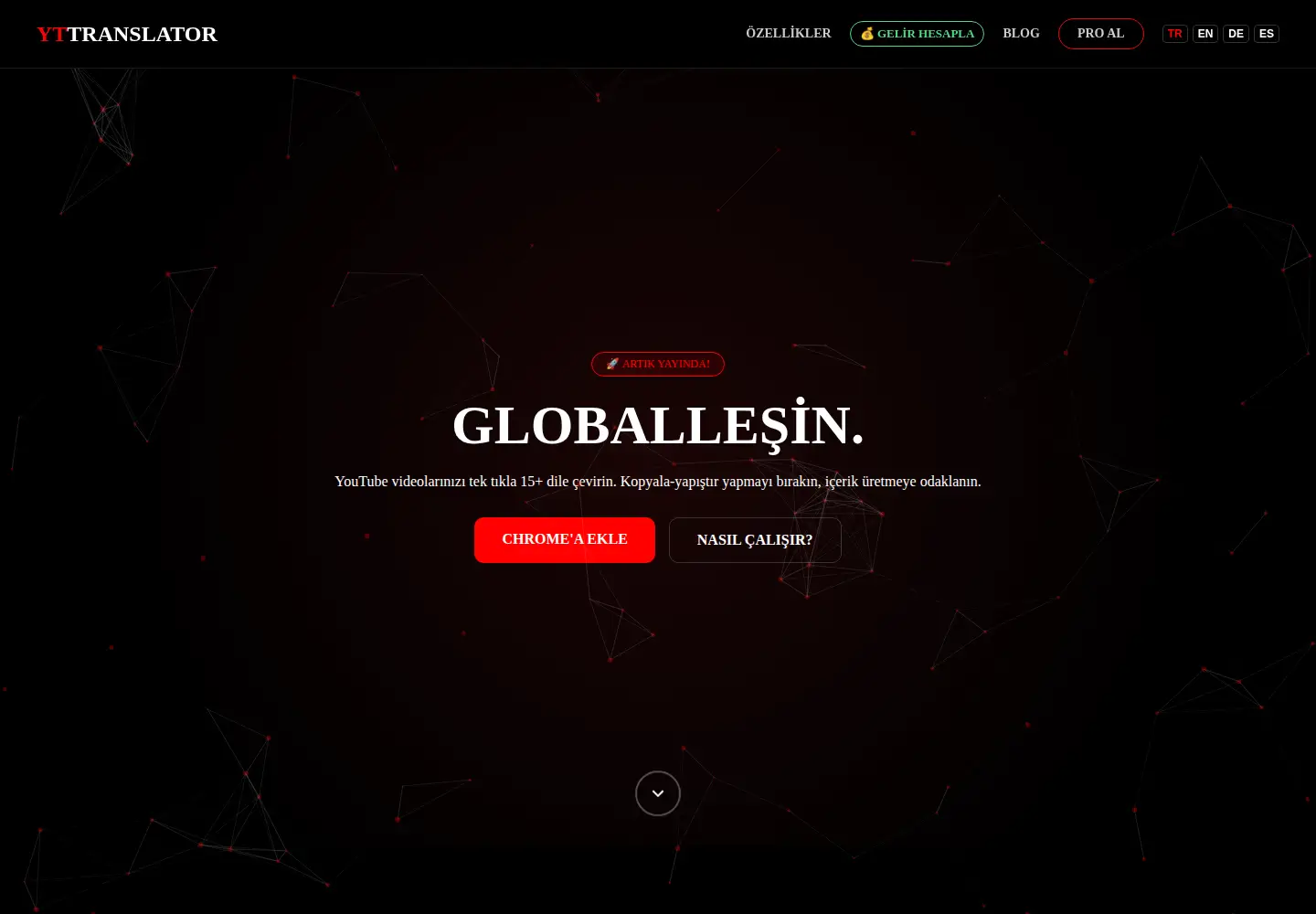 Screenshot of yttranslatorpro.com