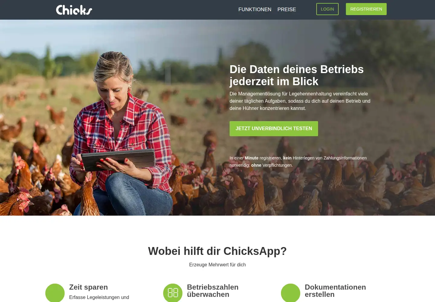 Captured homepage of chicksapp.de in the current scan
