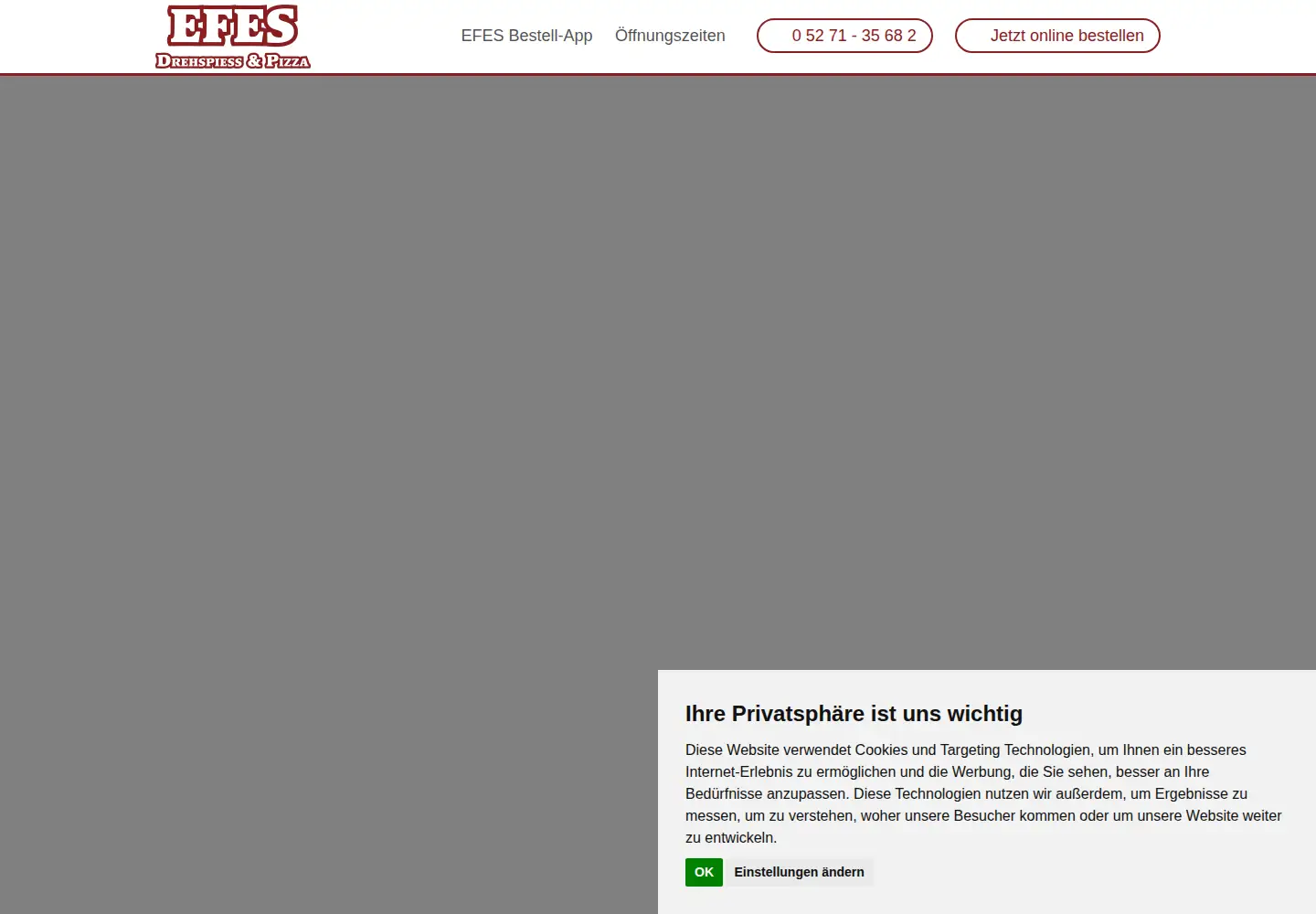 Screenshot of efes-hoexter.de