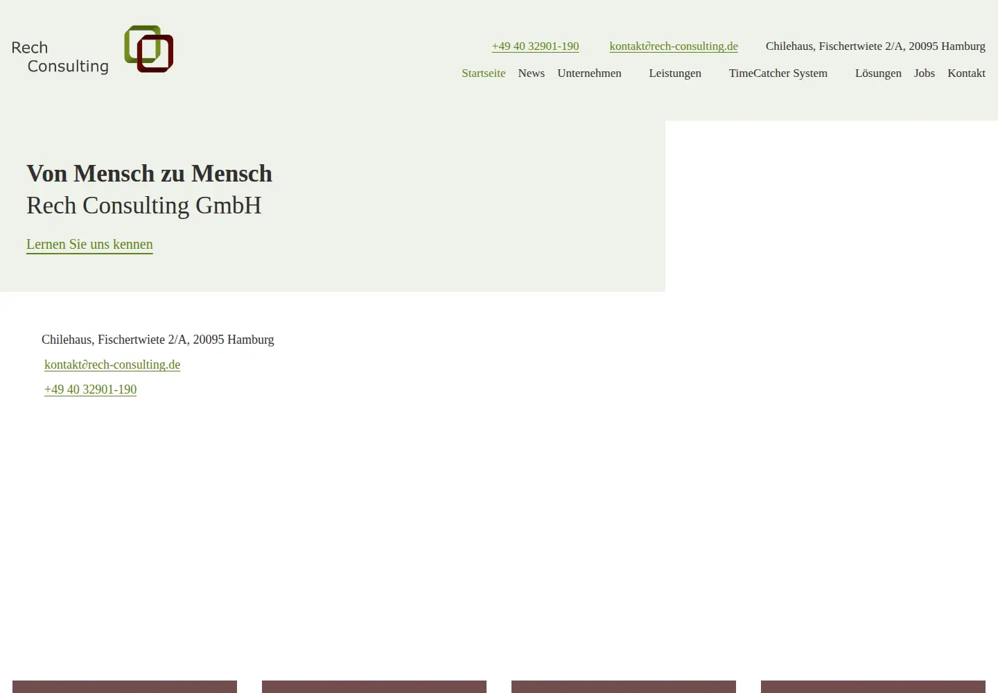 Screenshot of rech-consulting.de