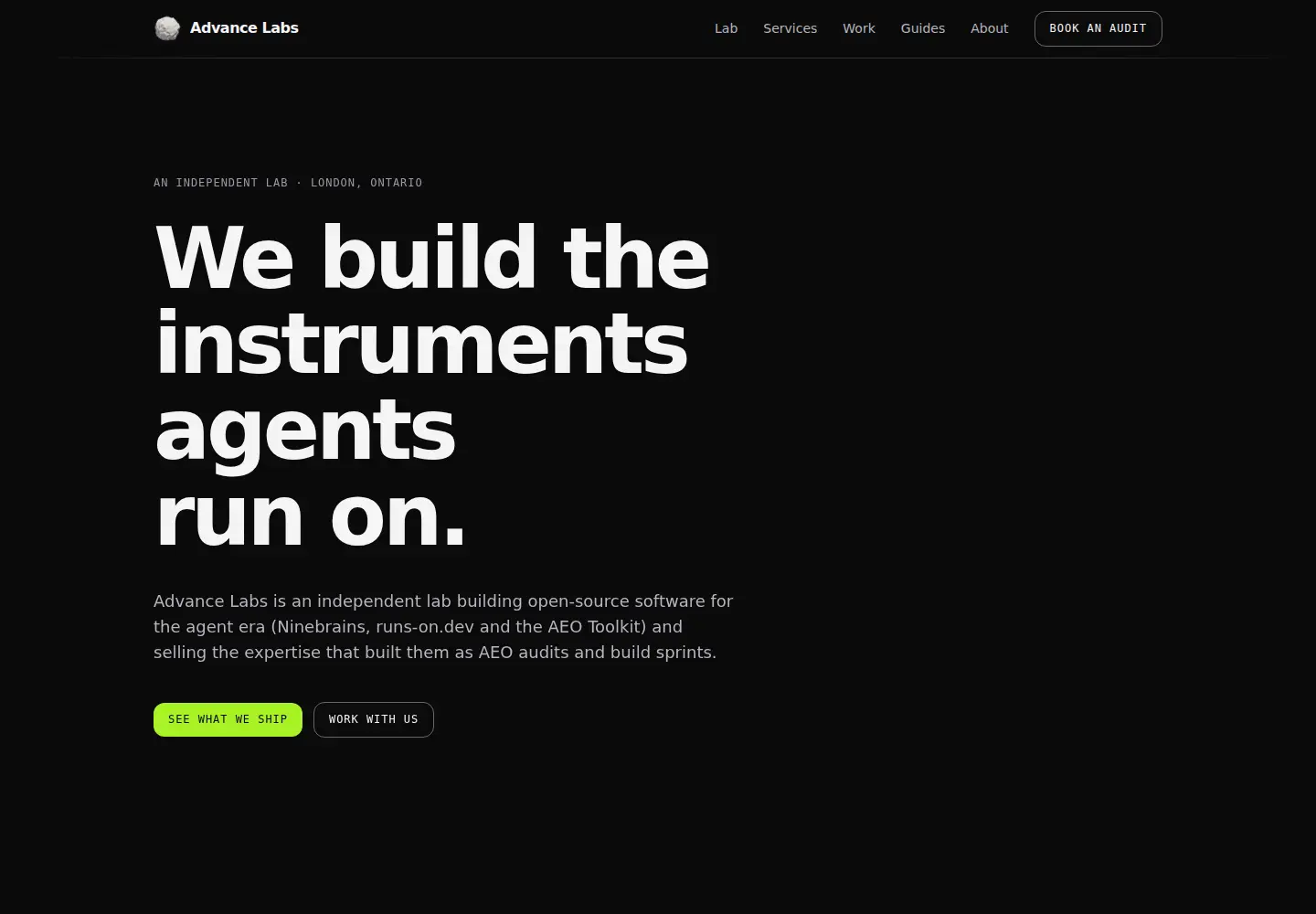 Captured homepage of advancelabs.dev in the current scan