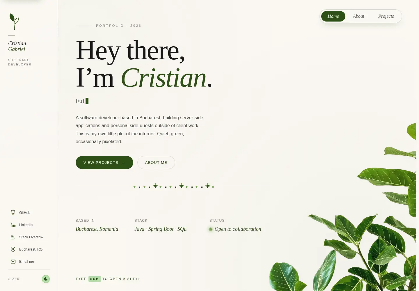 Captured homepage of cristiangabriel.dev in the current scan