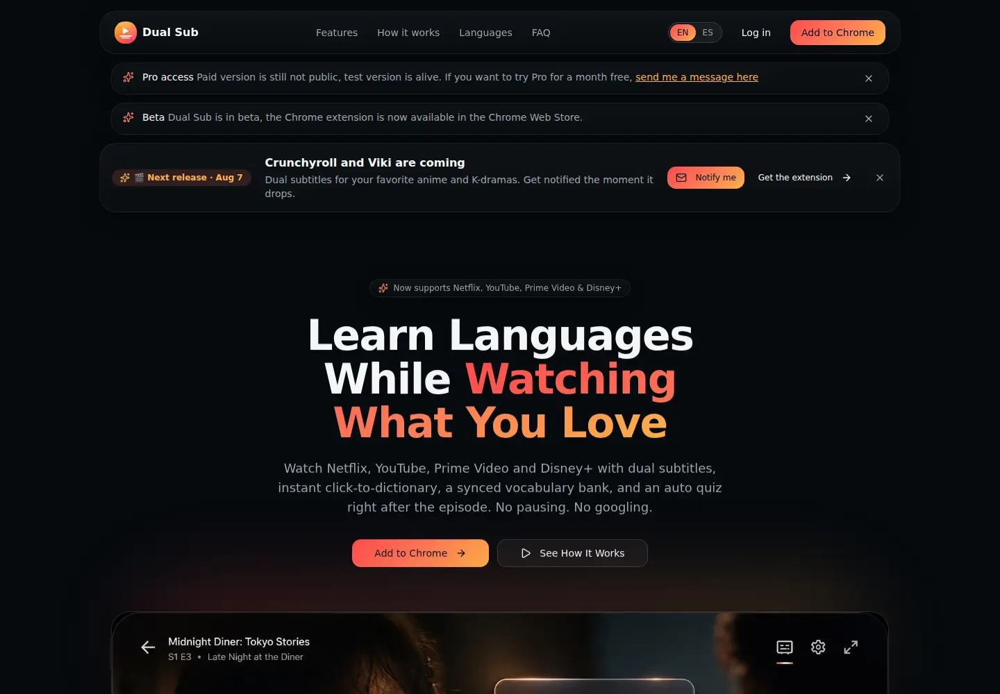 Screenshot of dualsub.dev
