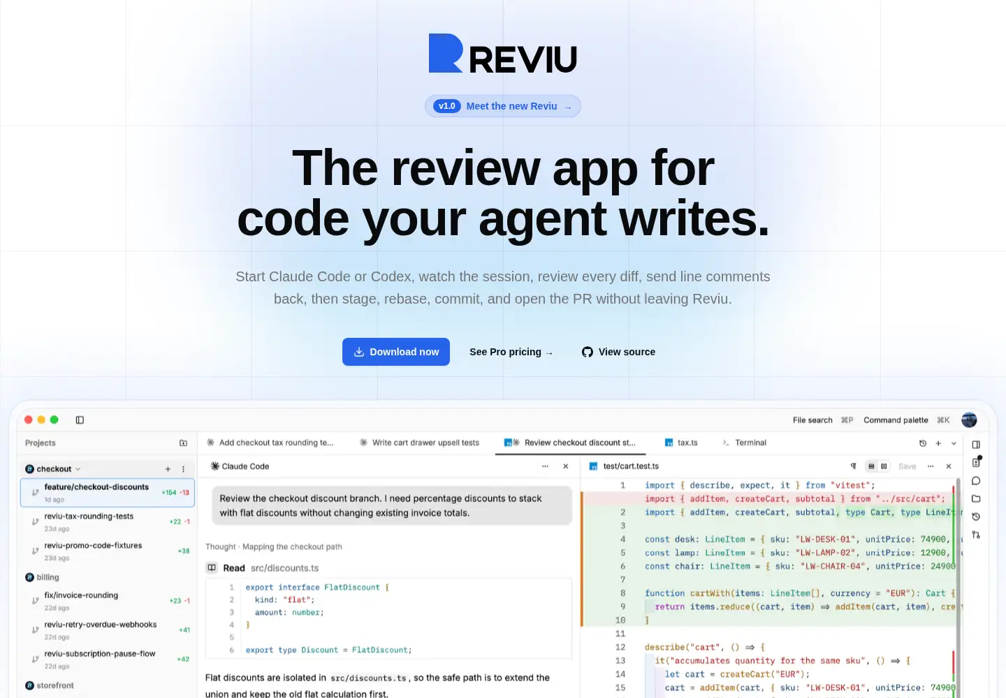 Captured homepage of reviu.dev in the current scan