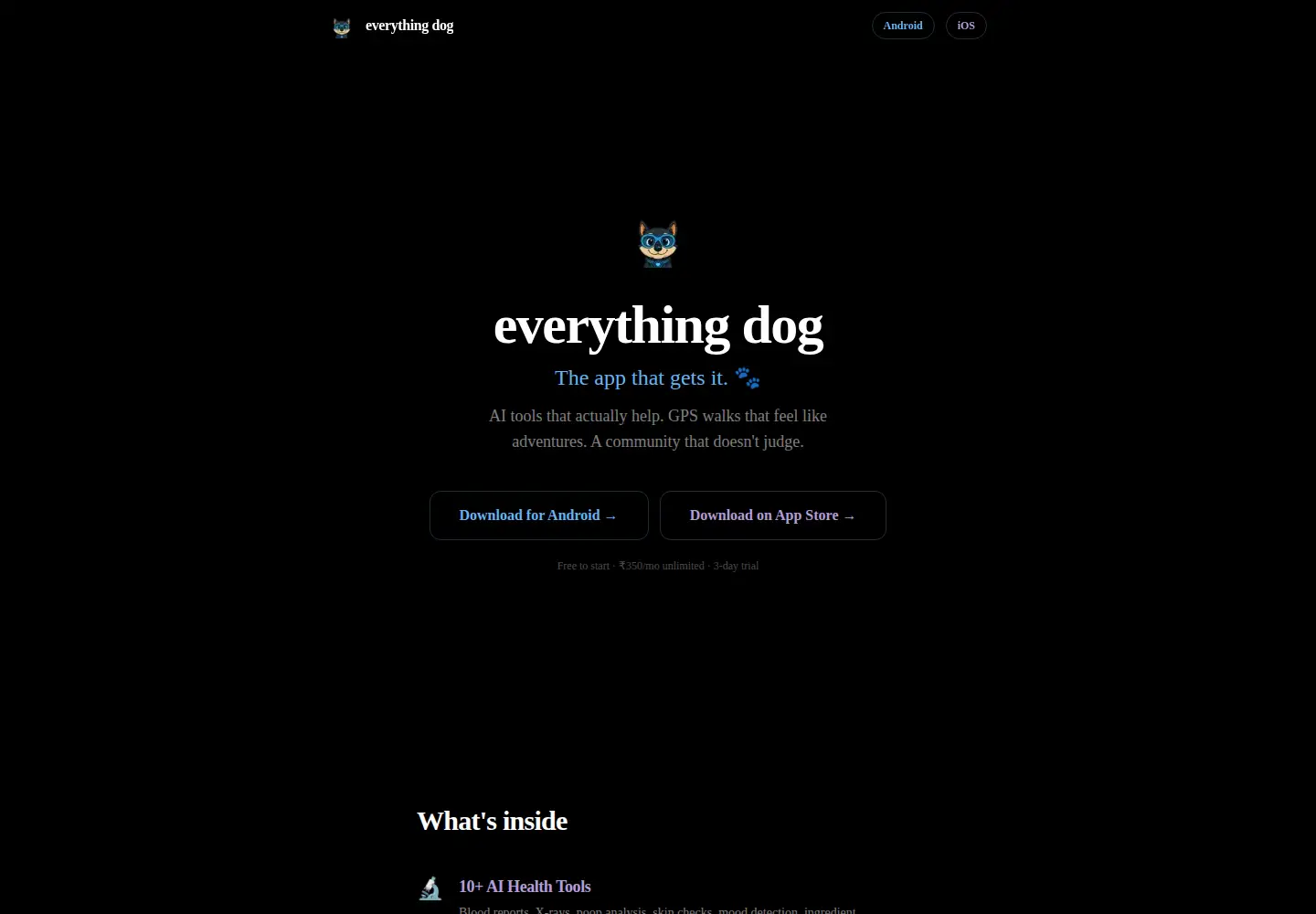 Captured homepage of everything.dog in the current scan
