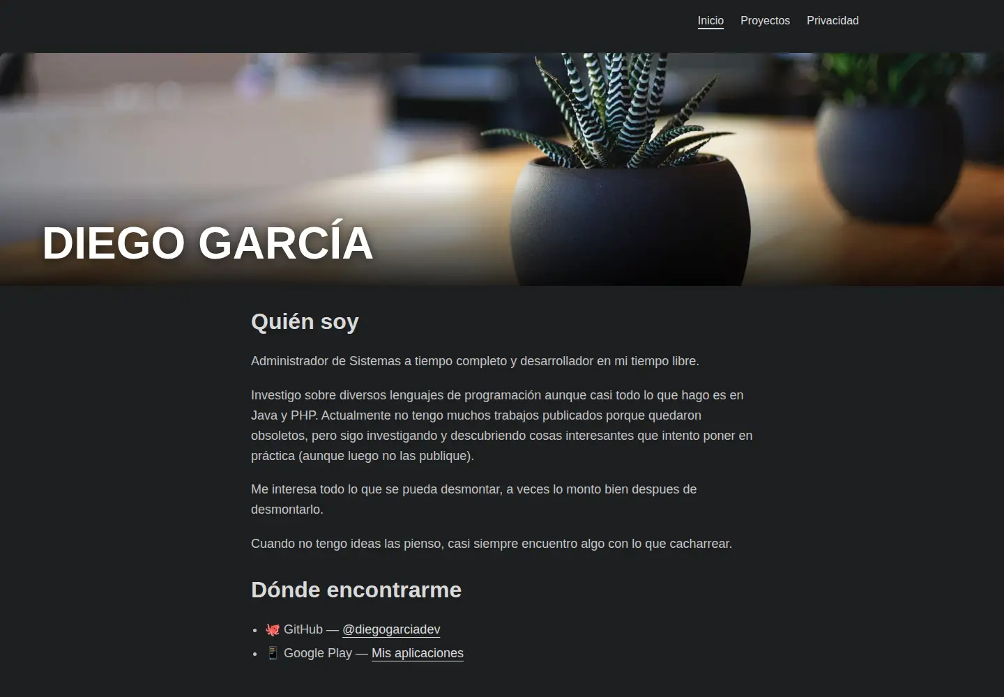Screenshot of diegogarciadev.es