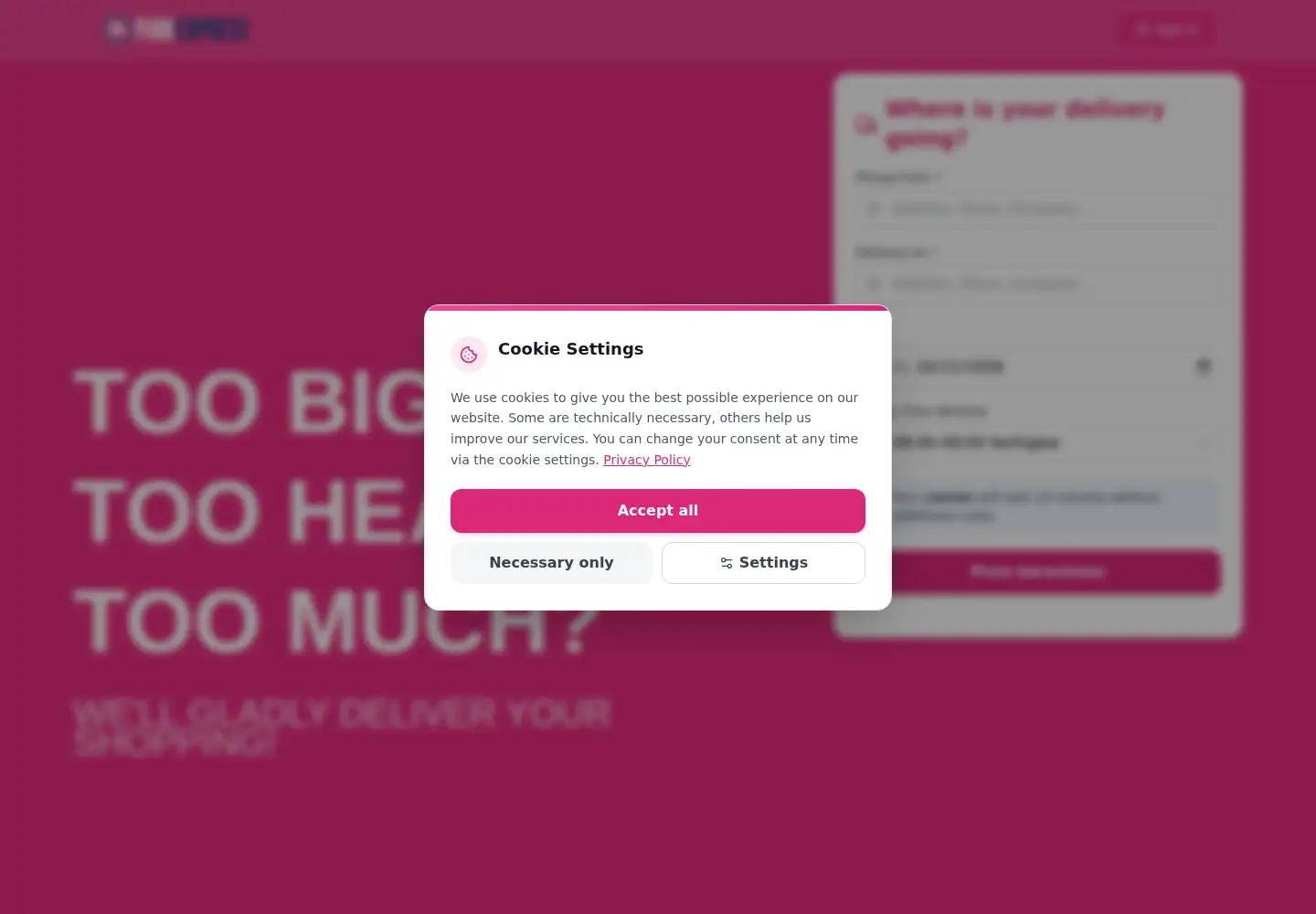 Captured homepage of pink.express in the current scan
