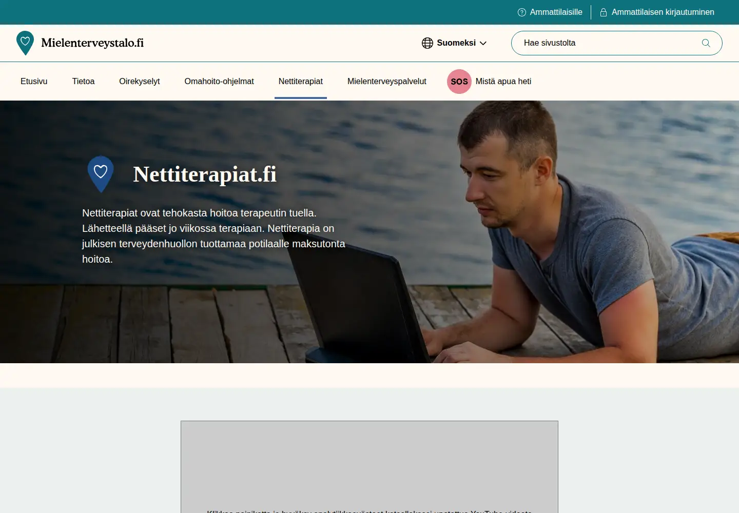 Captured homepage of nettiterapiat.fi in the current scan