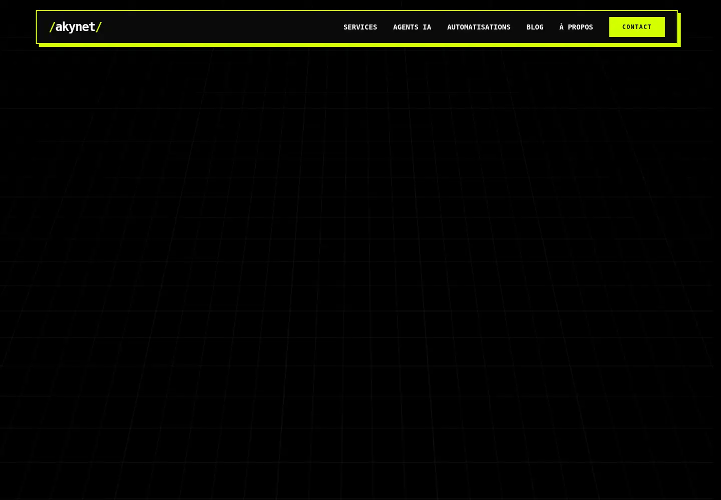 Captured homepage of akynet.fr in the current scan