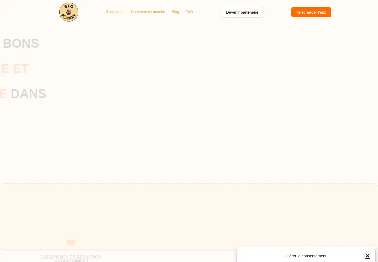 Screenshot of bigpocket.fr