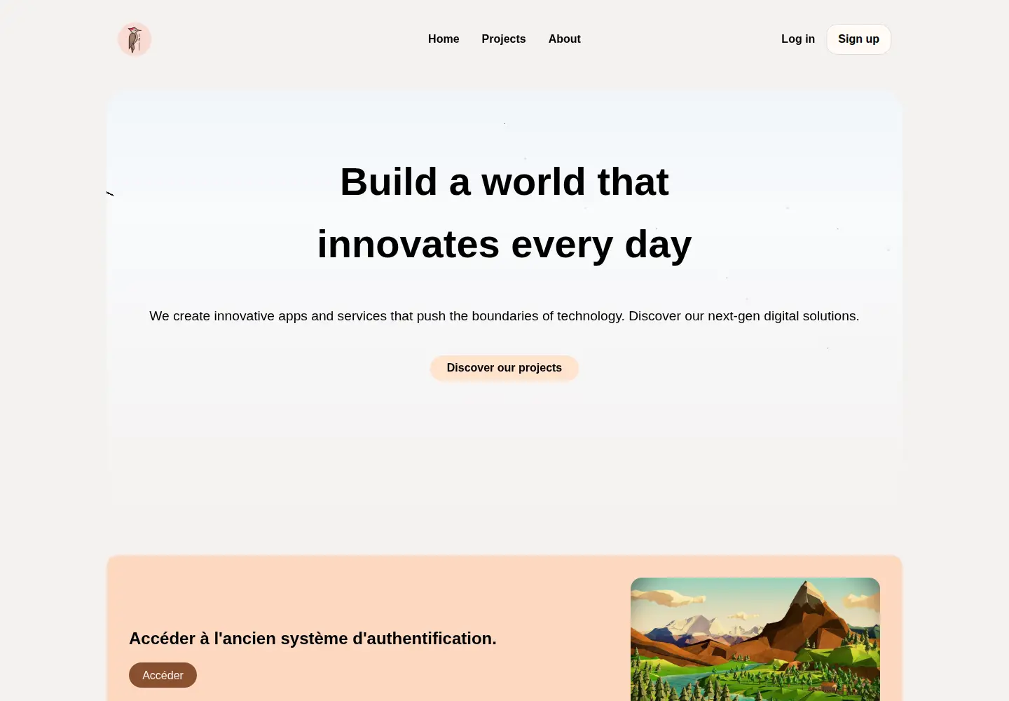Screenshot of birdywood.fr