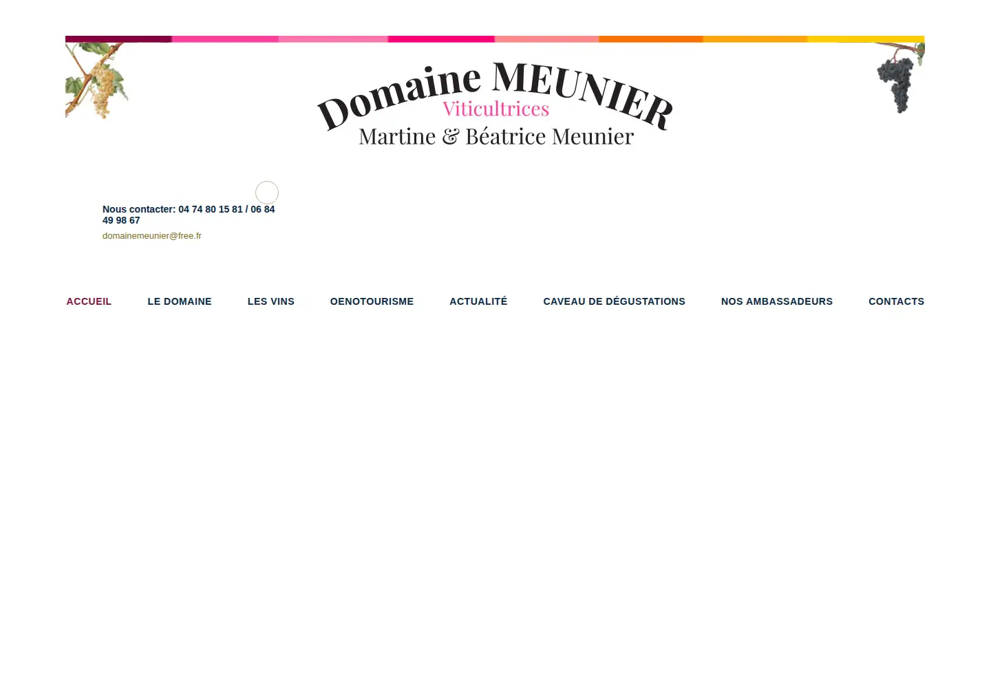 Captured homepage of domainemeunier.fr in the current scan