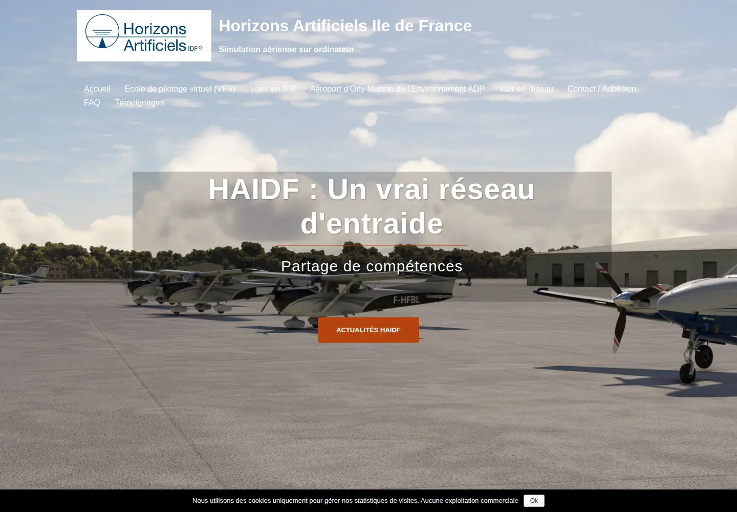 Screenshot of haidf.fr