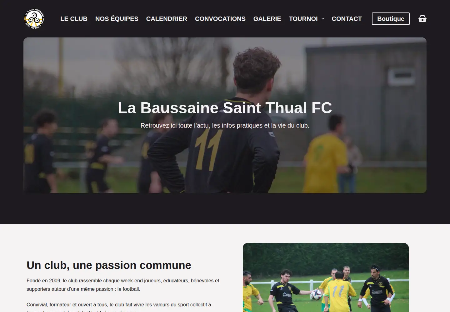 Screenshot of lbstfc.fr