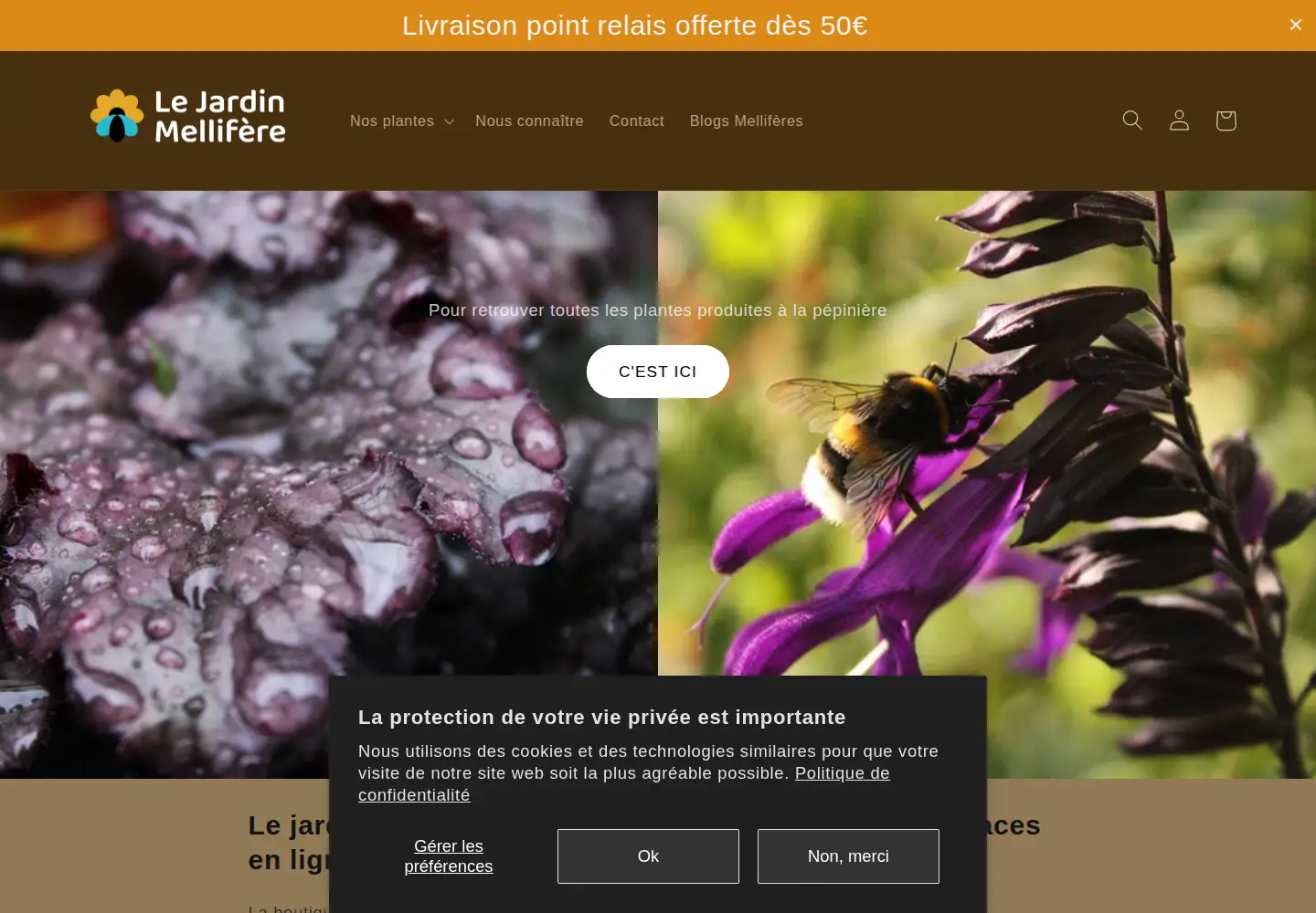 Captured homepage of lejardinmellifere.fr in the current scan