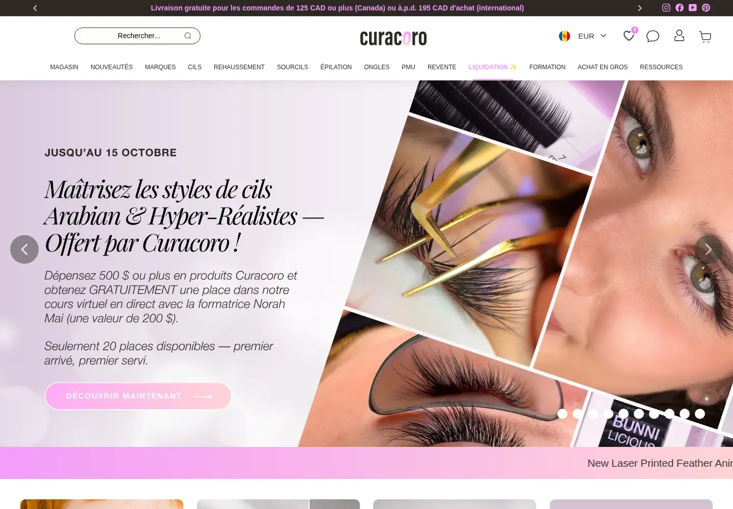 Captured homepage of llbaprofessional.fr in the current scan