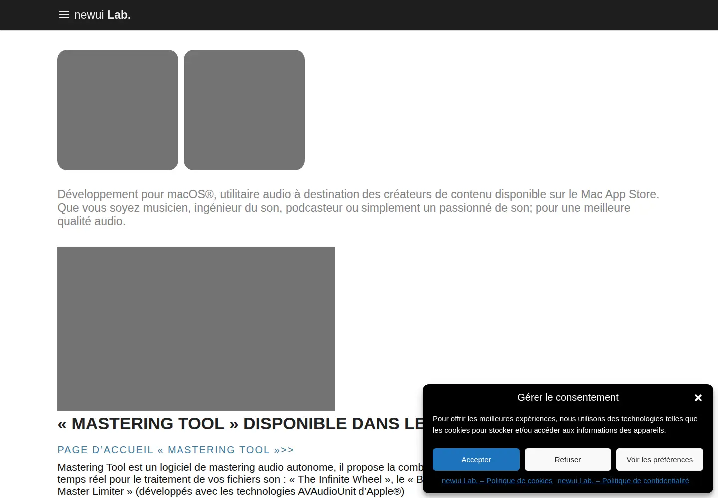 Captured homepage of newui.fr in the current scan