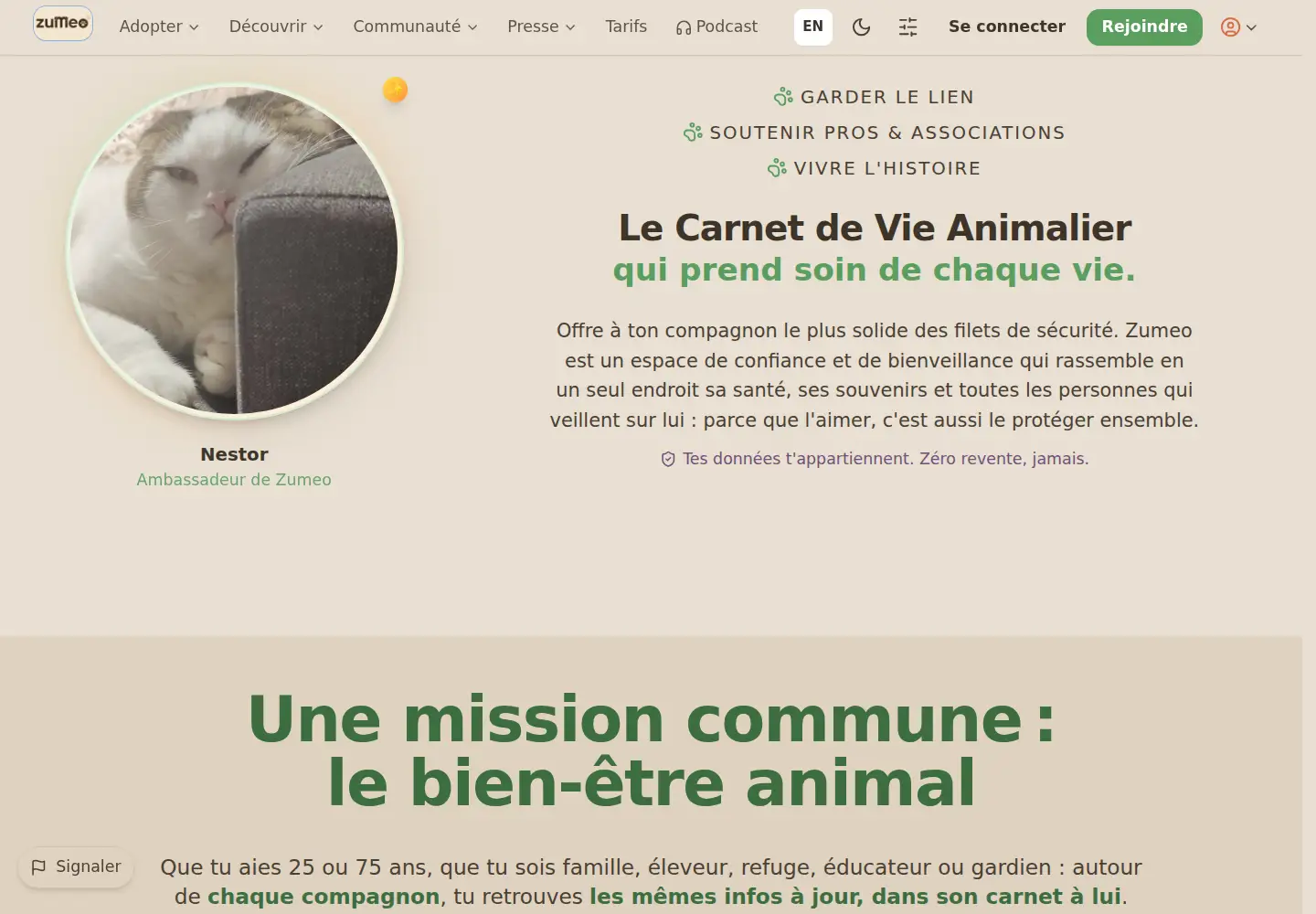 Screenshot of zumeo.fr