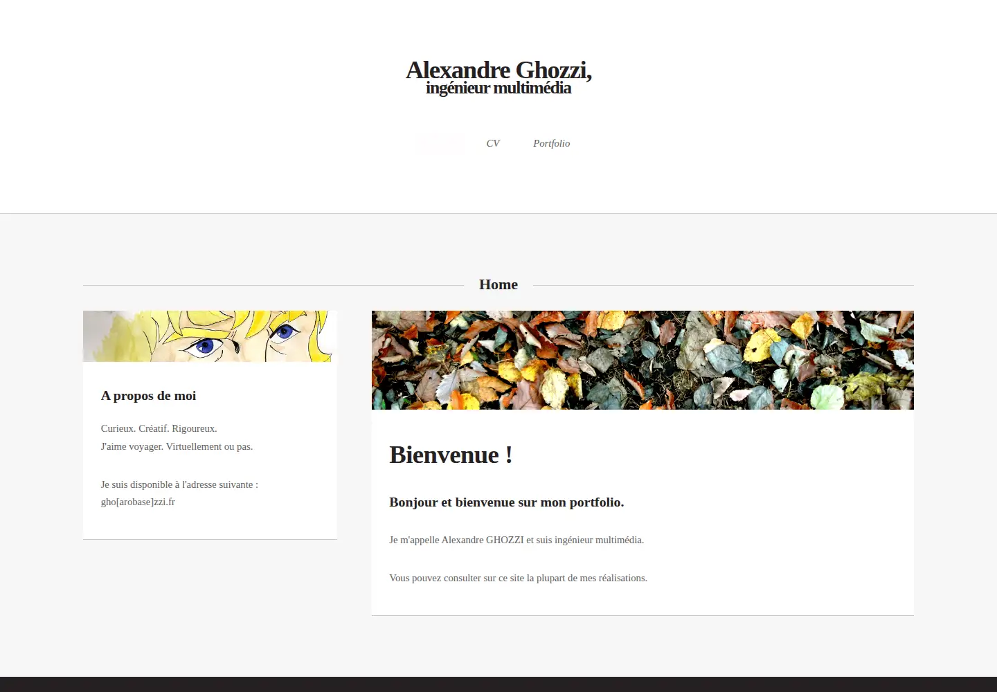 Captured homepage of zzi.fr in the current scan