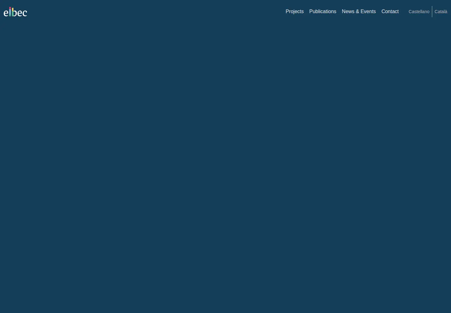 Screenshot of elbec.group