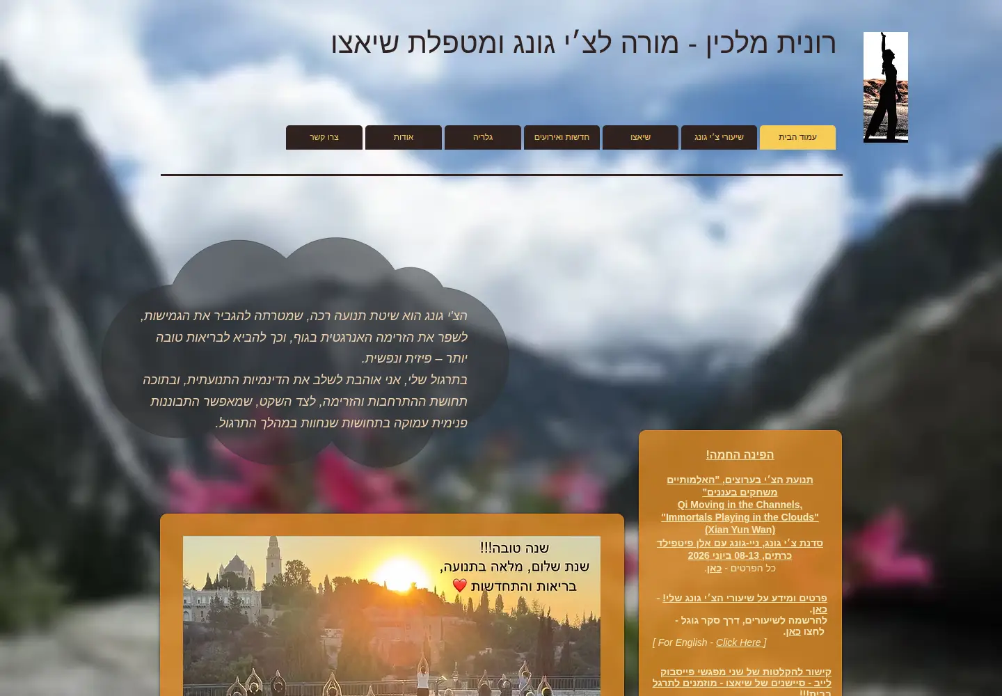 Captured homepage of ronitmalkin.co.il in the current scan