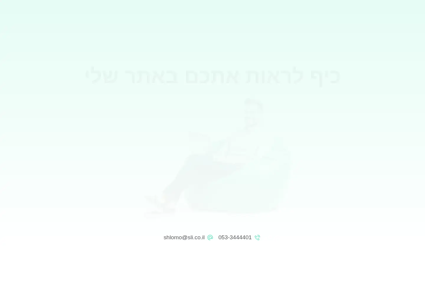 Captured homepage of sli.co.il in the current scan