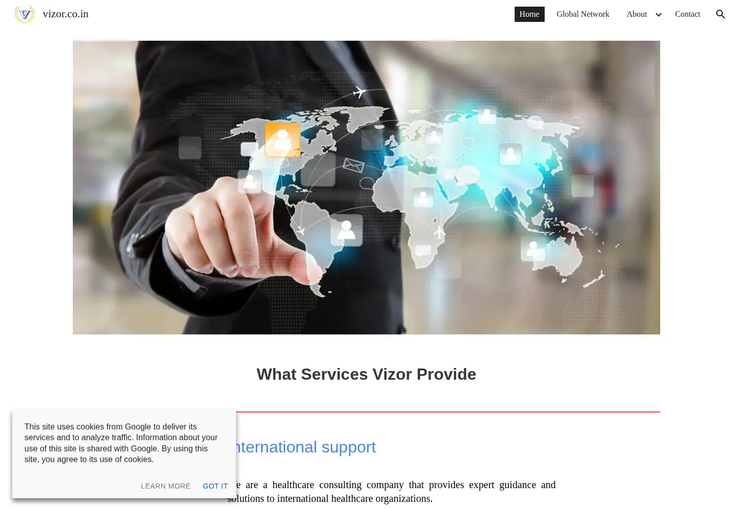 Captured homepage of vizor.co.in in the current scan