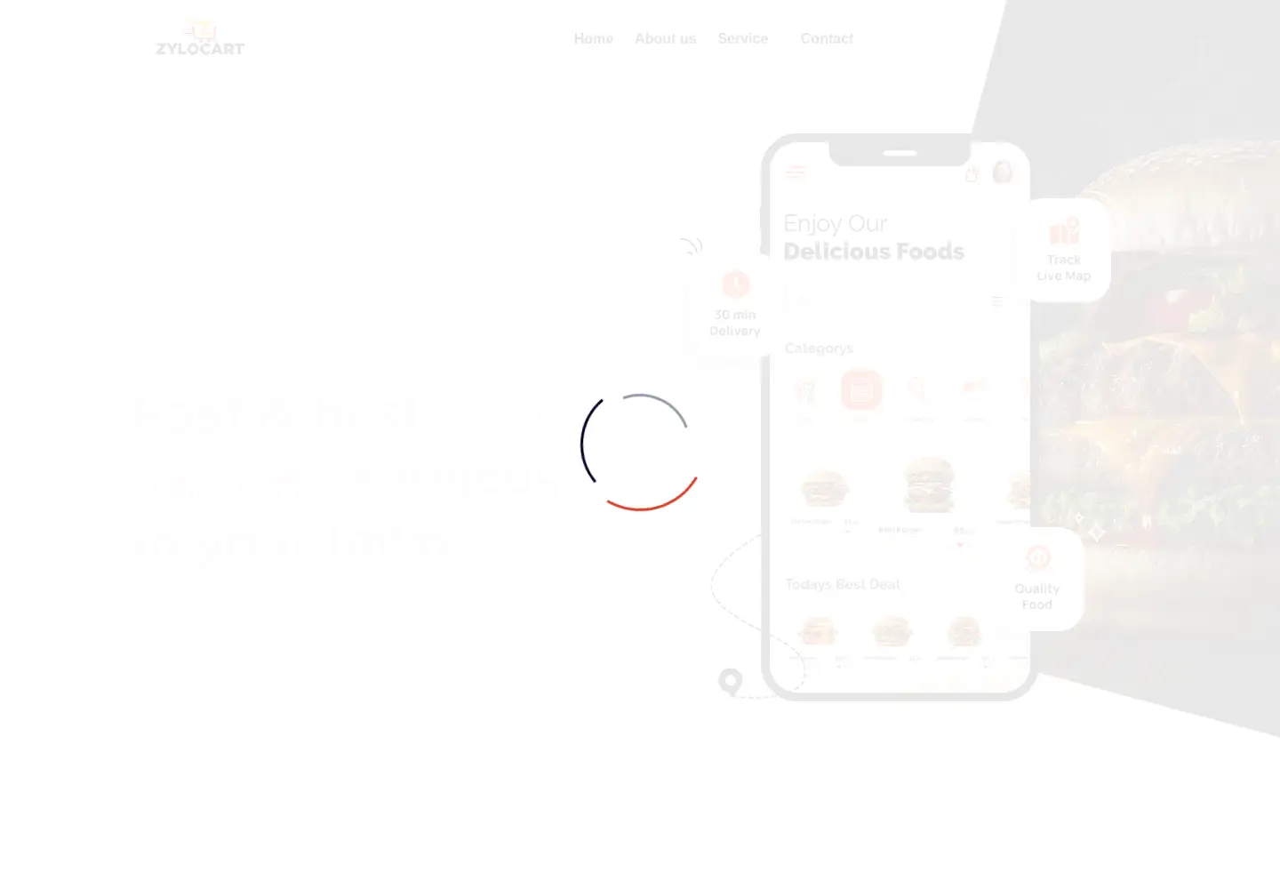 Screenshot of zylocart.co.in