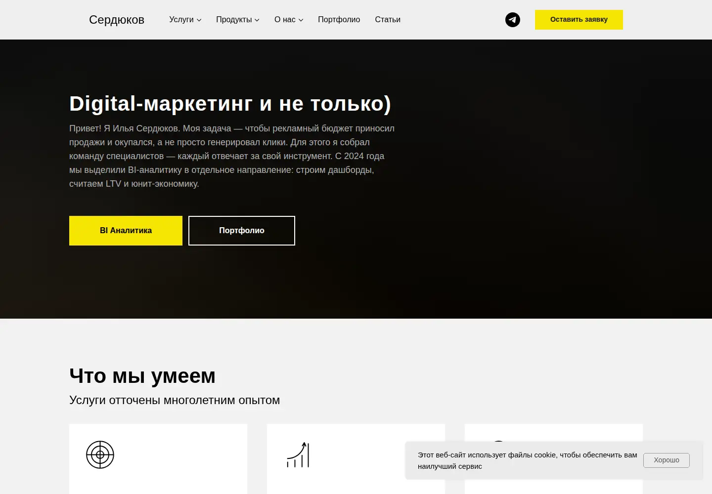 Captured homepage of serdyukov.in in the current scan