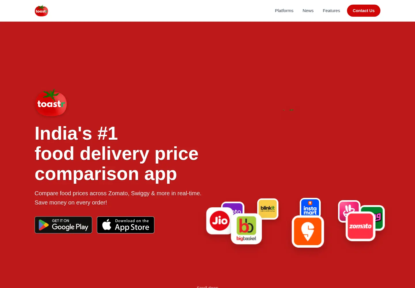 Captured homepage of toastr.in in the current scan