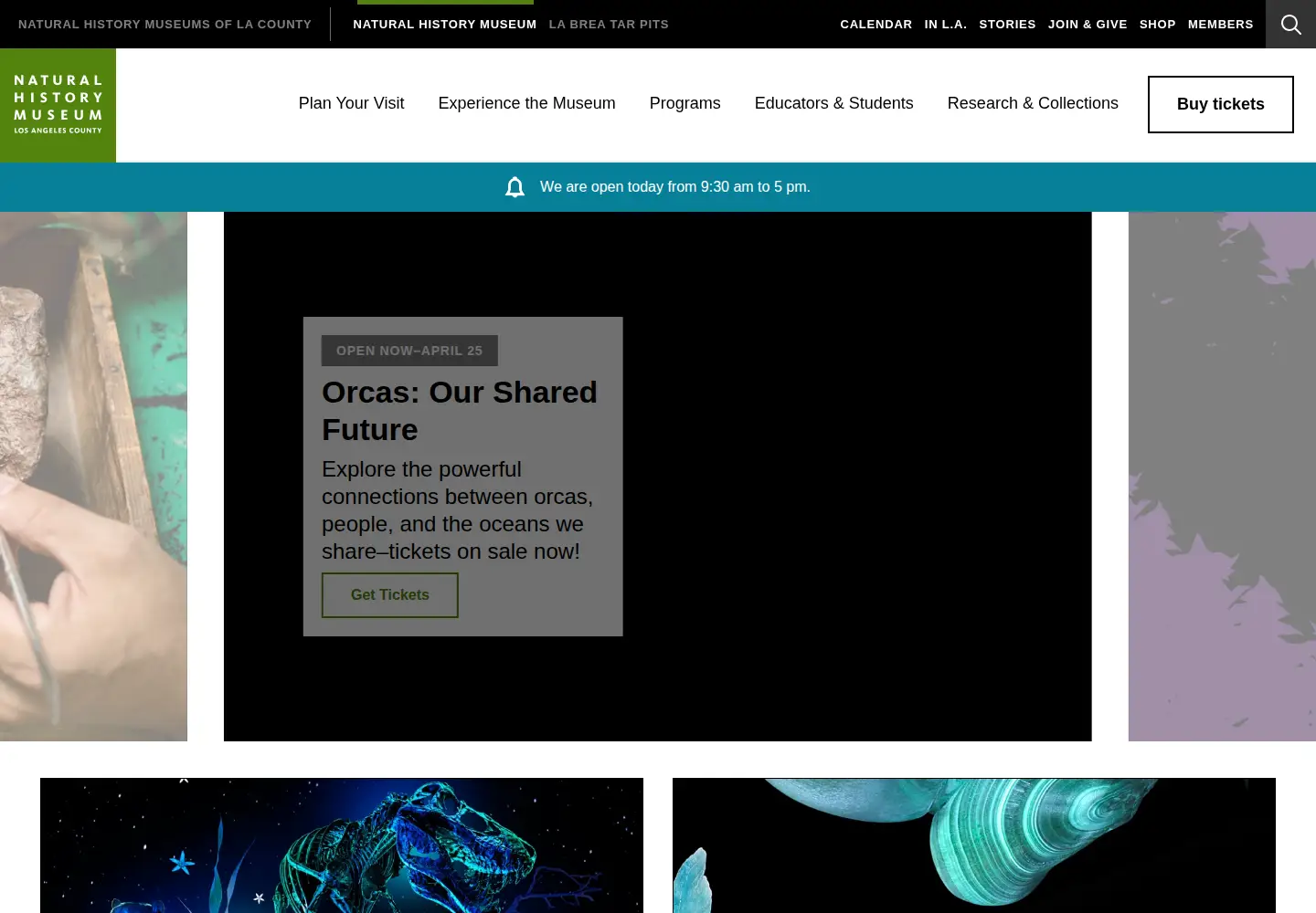 Screenshot of nhm.org