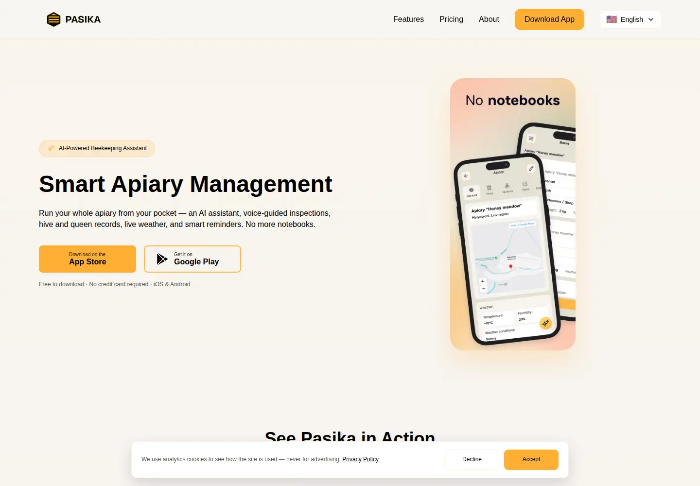 Captured homepage of pasika.io in the current scan