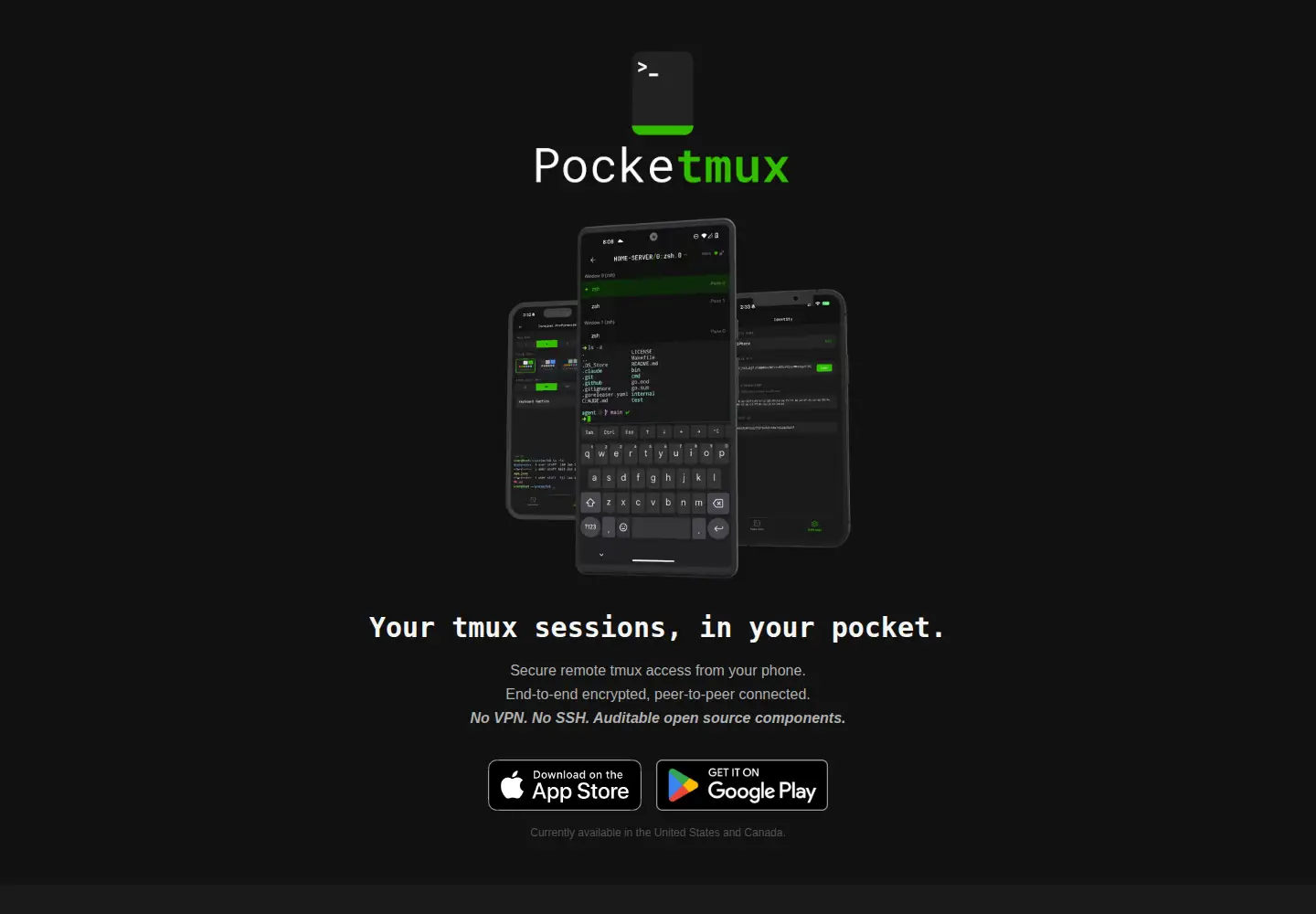 Screenshot of pmux.io