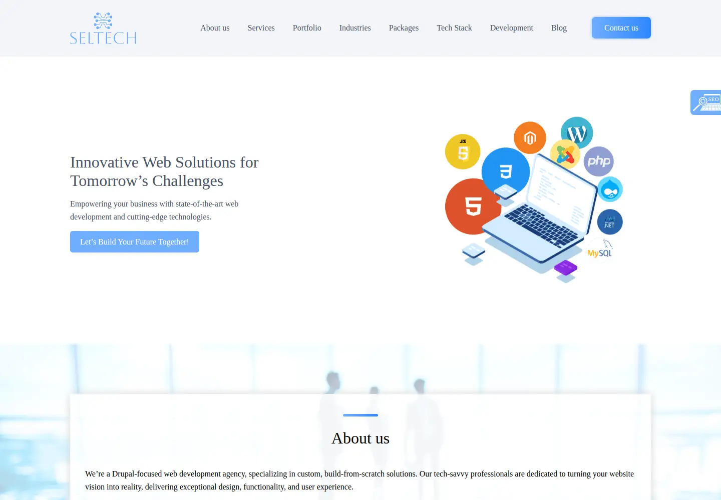 Captured homepage of seltech.io in the current scan