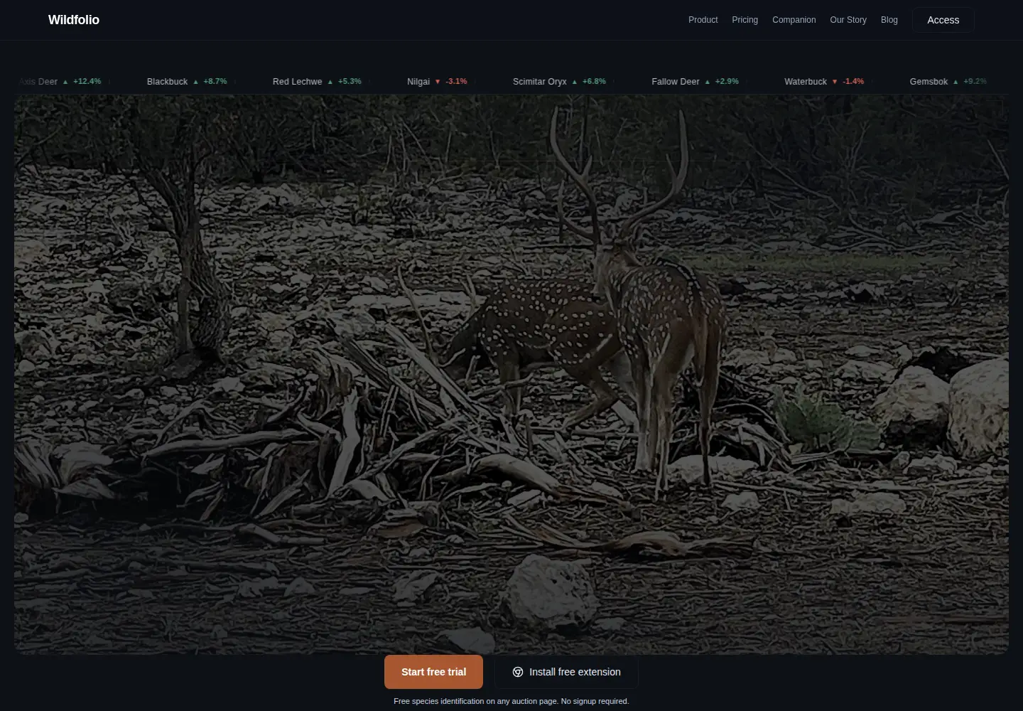 Screenshot of wildfol.io