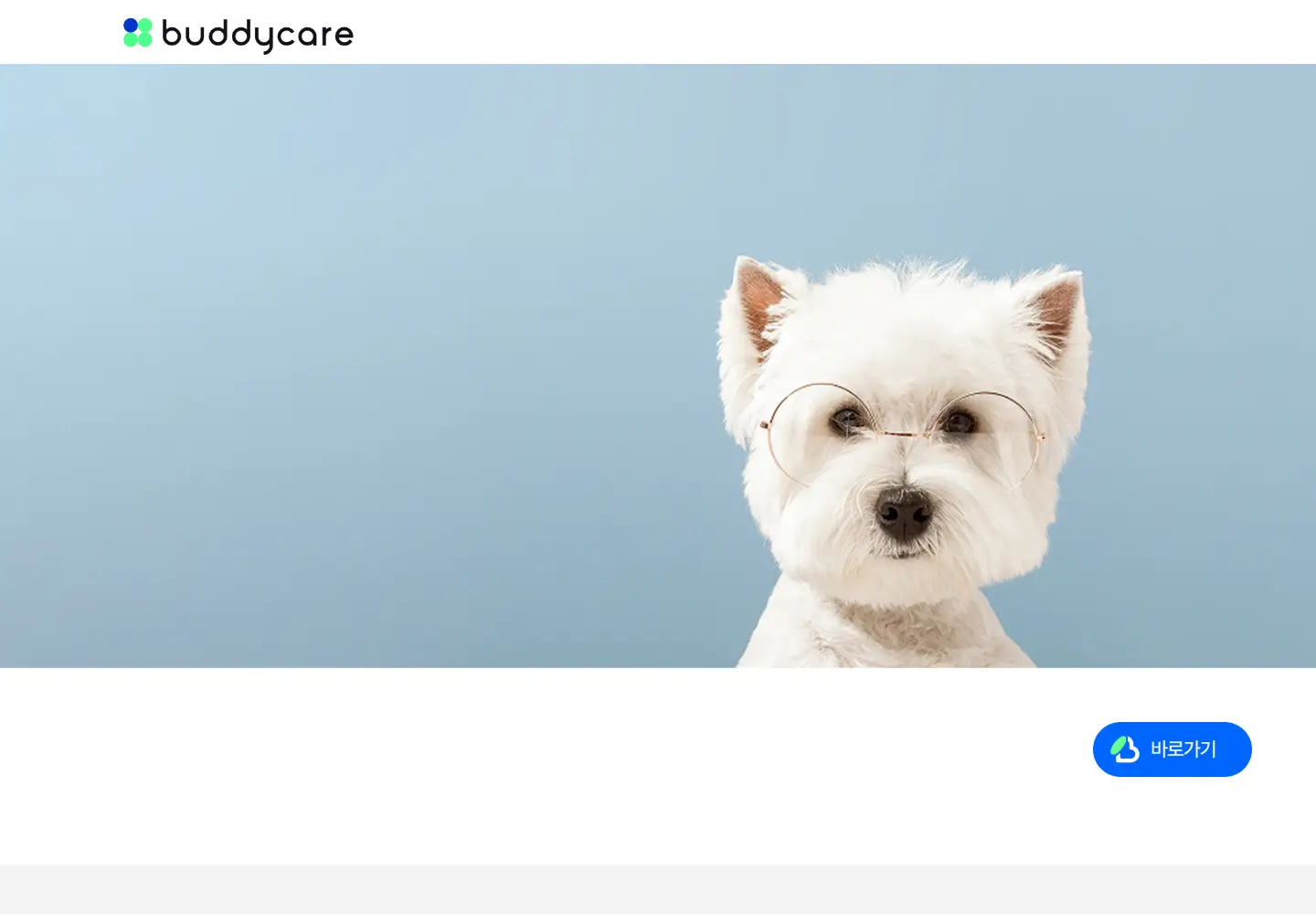 Captured homepage of buddydoc.co.kr in the current scan