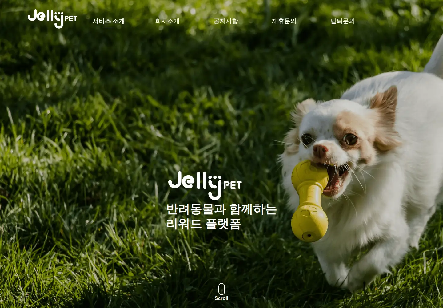 Screenshot of dothat.co.kr