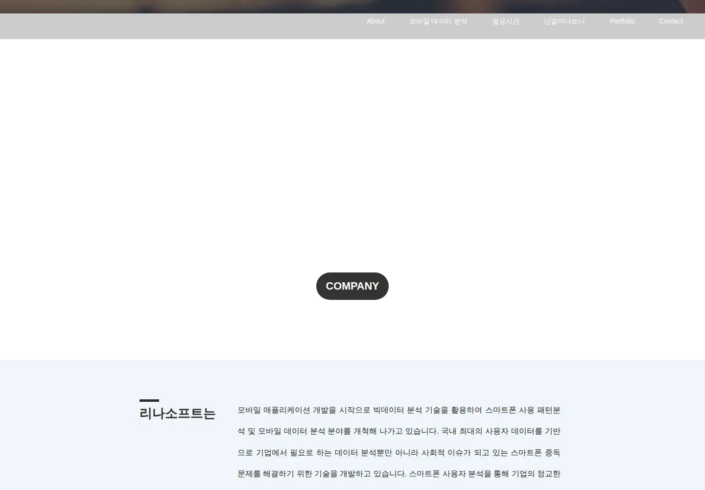 Captured homepage of rinasoft.co.kr in the current scan