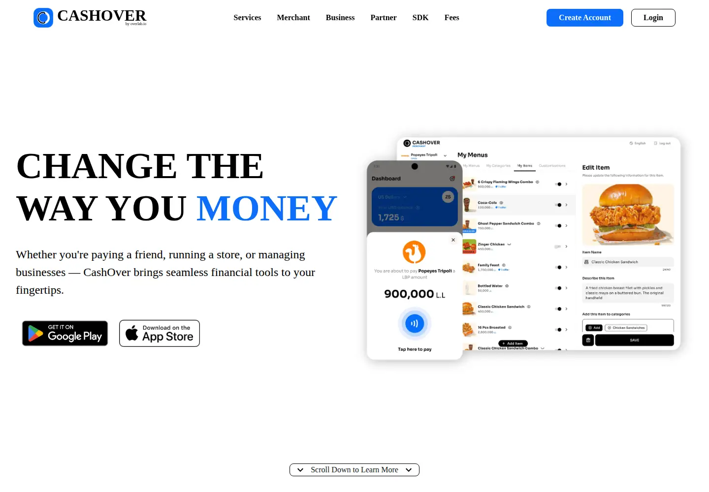 Captured homepage of cashover.money in the current scan