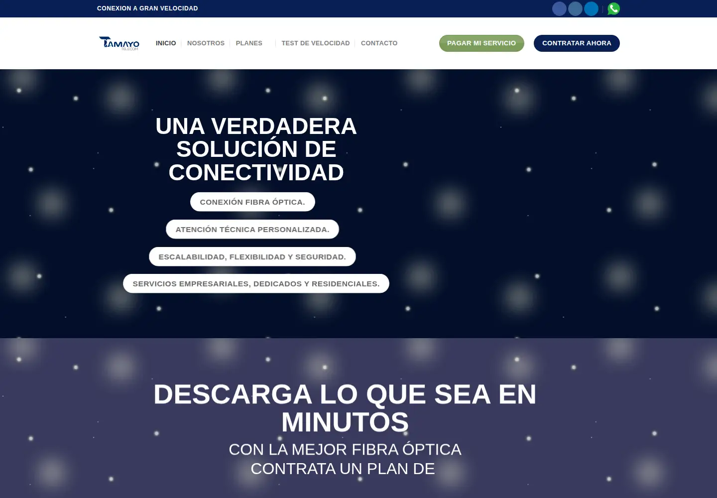 Screenshot of tamayotelecom.mx