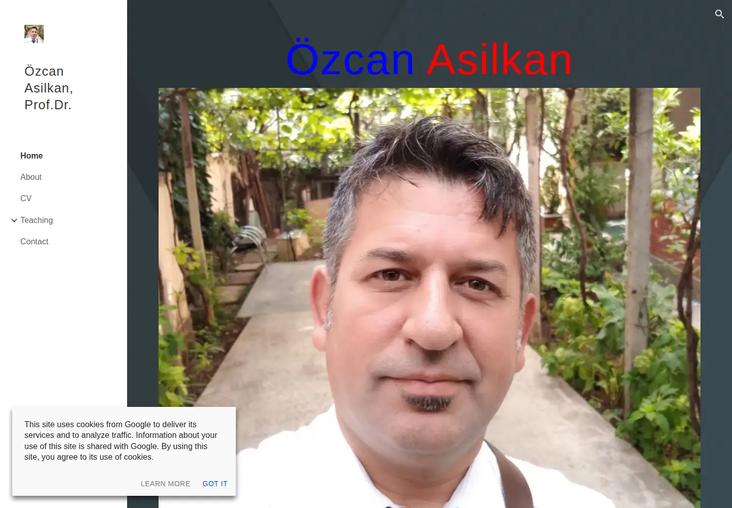 Captured homepage of asilkan.net in the current scan