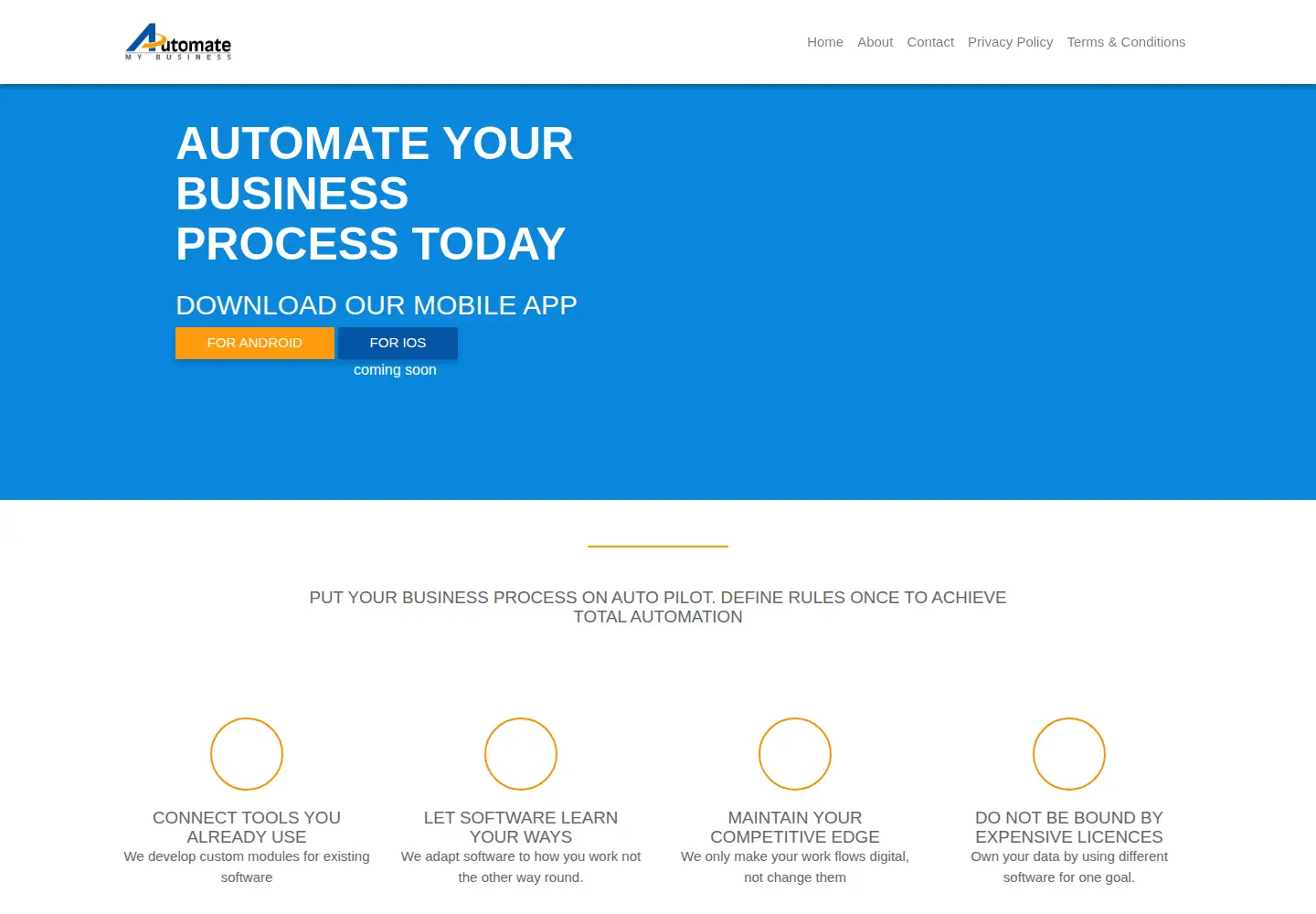 Screenshot of automatemybusiness.net