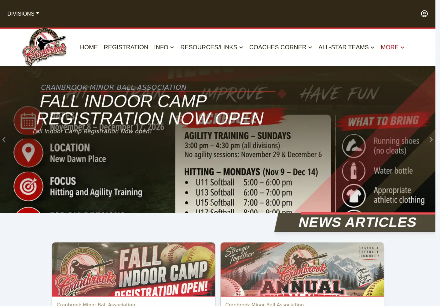 Screenshot of cranbrookminorball.net