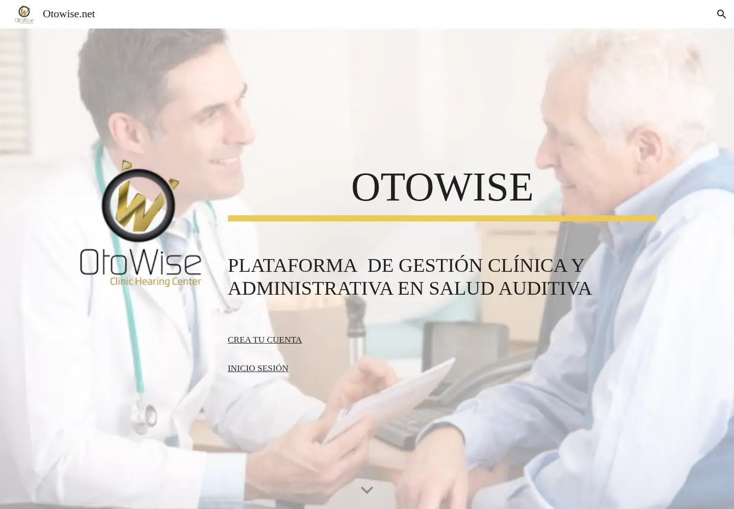 Screenshot of otowise.net
