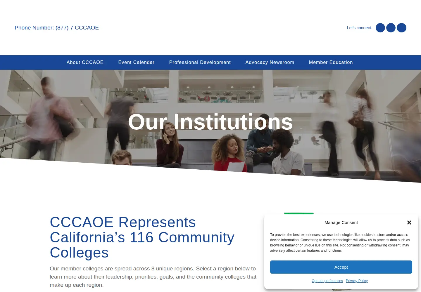 Captured homepage of regionalconsortia.net in the current scan