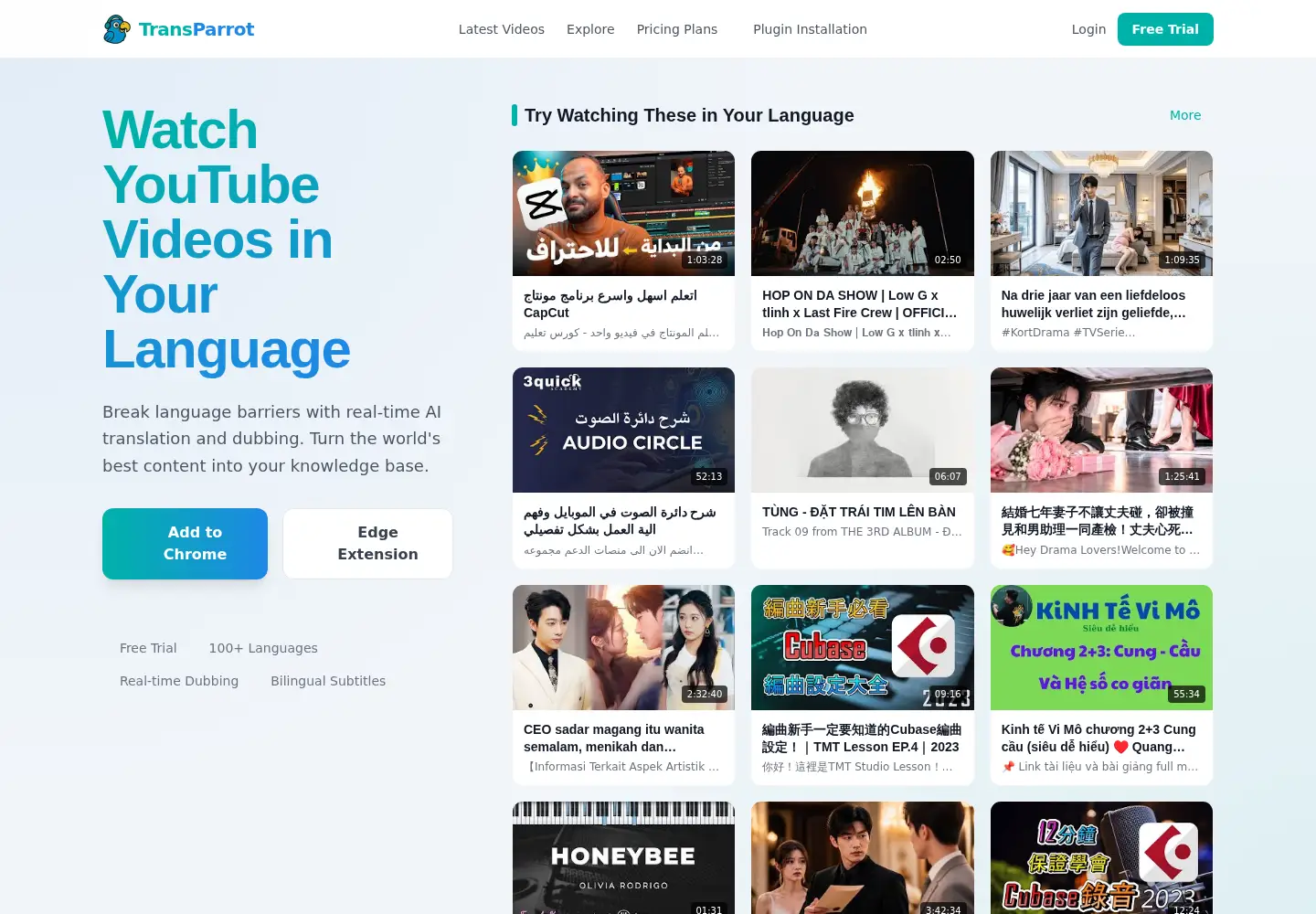 Screenshot of youtubetranslate.net