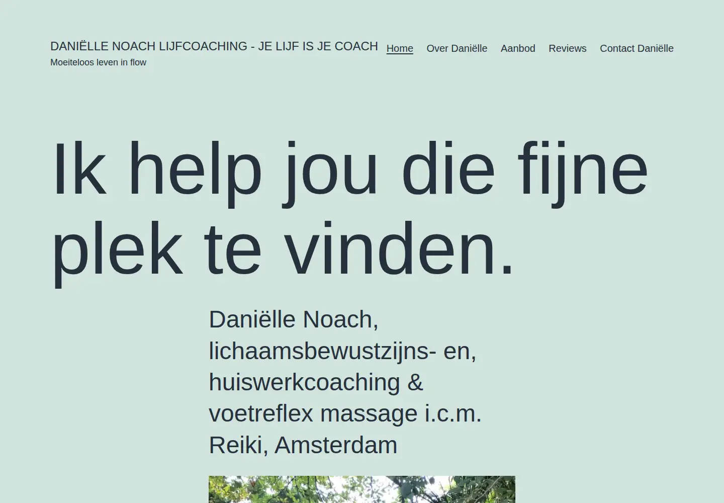 Screenshot of daniellenoach.nl