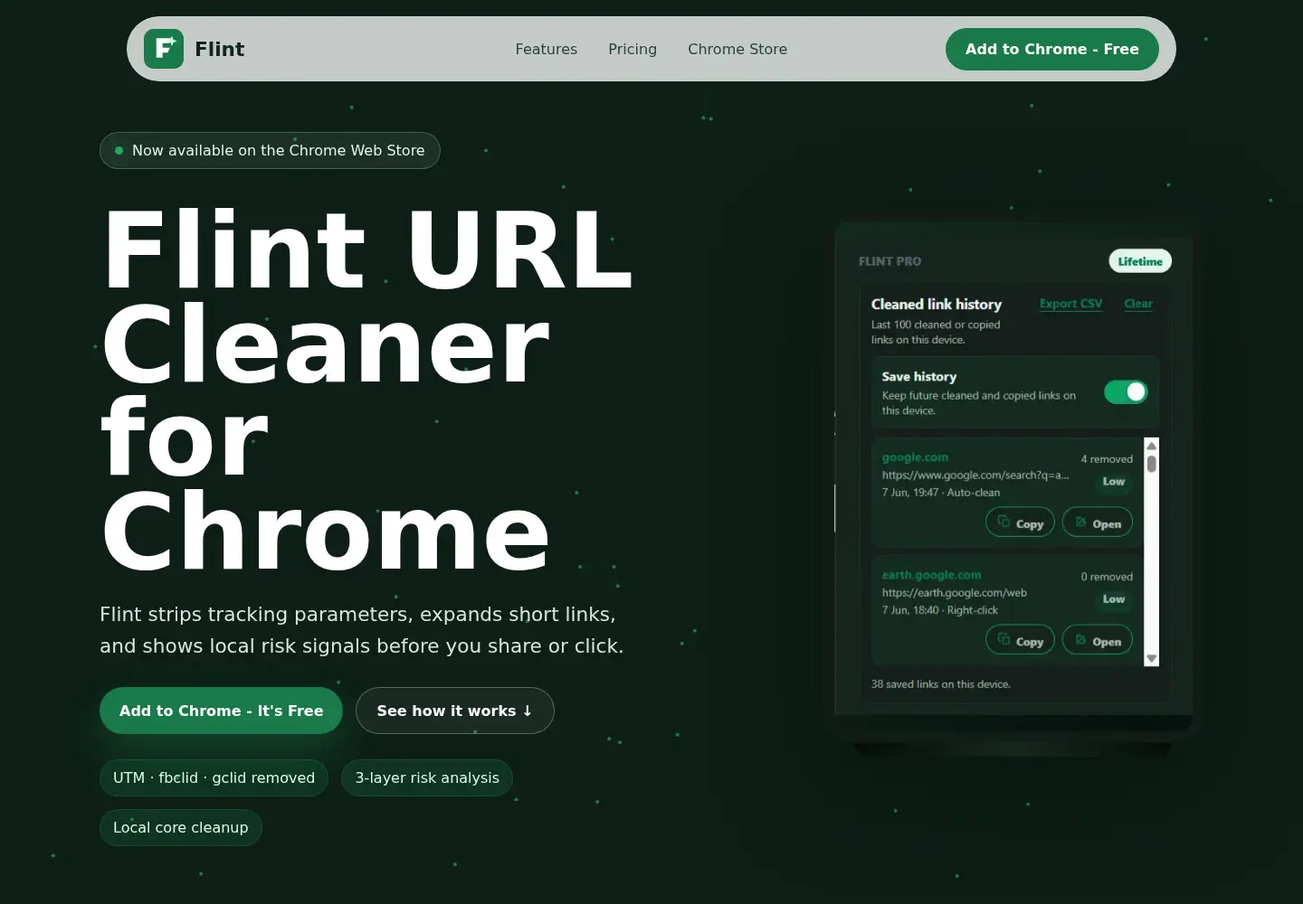 Captured homepage of appflint.online in the current scan