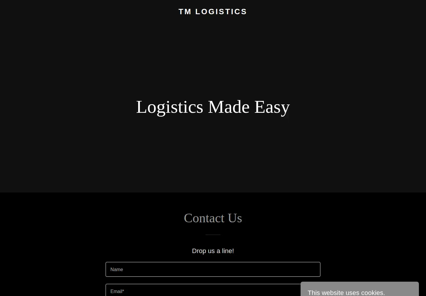 Captured homepage of tmlogistics.online in the current scan