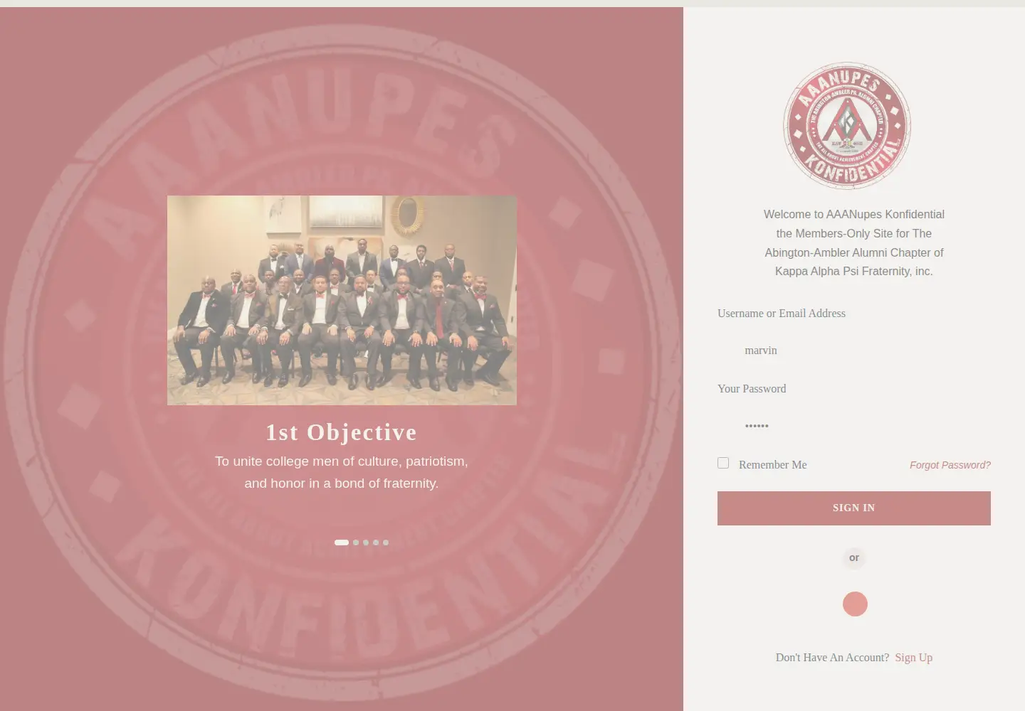 Captured homepage of aaanupeskonfidential.org in the current scan